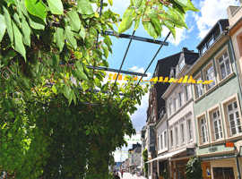 Im August 2020 brachte das mobile „Grüne Zimmer“ vorübergehend zusätzliche Kühlung in die Neustraße.